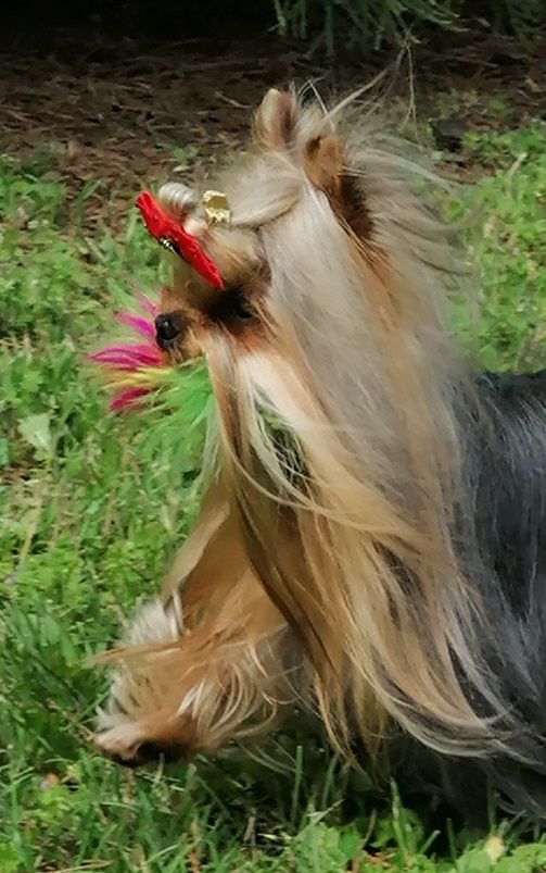 Poésie d'amour De L'eden Argente